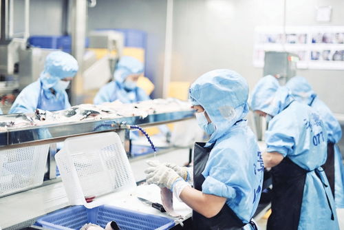 广东永寰供应链管理 打造鱼类预制菜全产业链新标杆